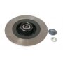 Brake disk with bearing