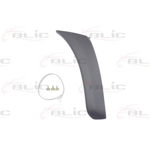 Ornamente Ornamente