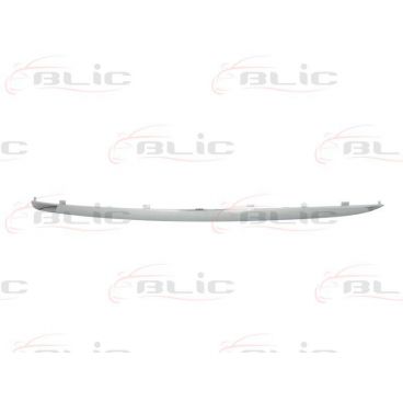 Ornament bandou bara