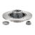 Brake disk with bearing
