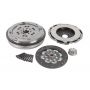 Clutch kit with dual mass flywheel and bearing Clutch kit with dual mass flywheel and bearing