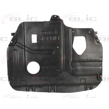 Scut motor/cutie viteze