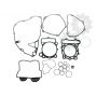 Set garnituri motor