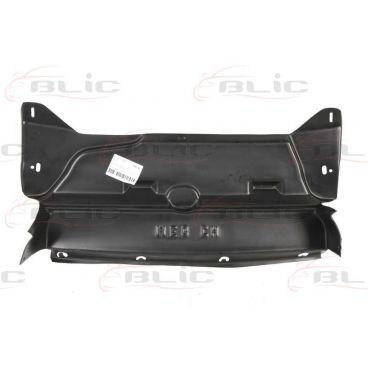 Scut motor/cutie viteze