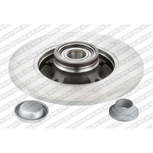 Brake disk with bearing