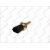 Senzor tempertura lichid racire