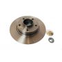 Brake disk with bearing