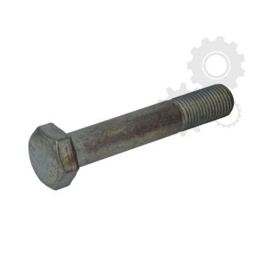 Raw Hex bolts