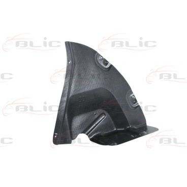 Carenaj interior aripa