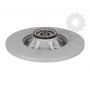 Brake disk with bearing