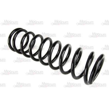 Arc suspensie axa spate