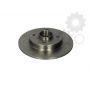 Brake disk with bearing