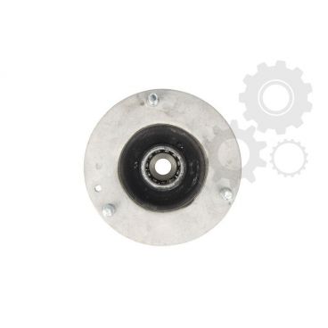 Amortizor suspensie Mc Pherson