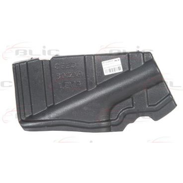 Scut motor/cutie viteze