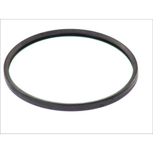 Garnitura termostat Garnitura termostat