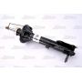 Amortizor axa spate