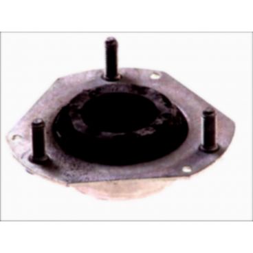 Amortizor suspensie Mc Pherson