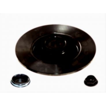 Brake disk with bearing