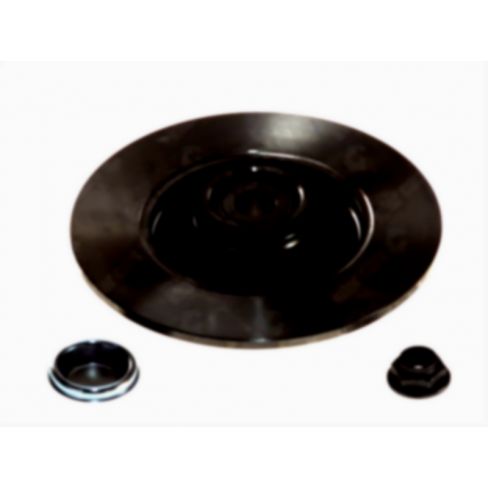 Brake disk with bearing