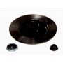 Brake disk with bearing