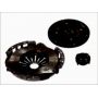 Clutch kit with bearing