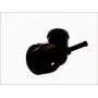 Conector sistem de racire