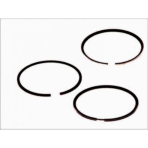 Segmenti piston