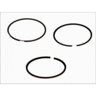 Segmenti piston