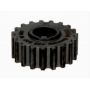 Pinion arbore cotit