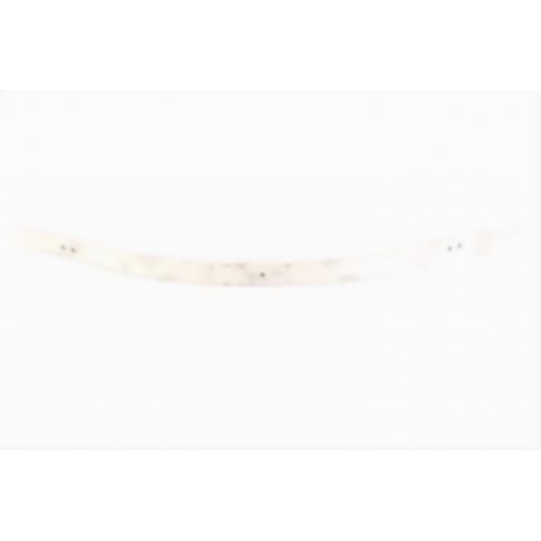 Foaie de arc Foaie de arc