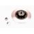 Brake disk with bearing