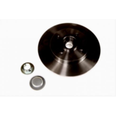 Brake disk with bearing