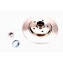 Brake disk with bearing