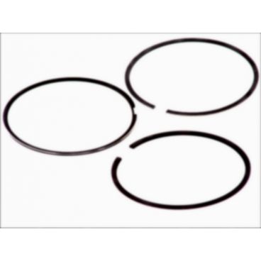 Segmenti piston