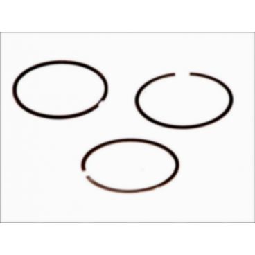 Segmenti piston