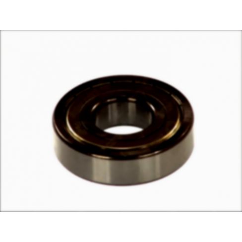Rulment alternator