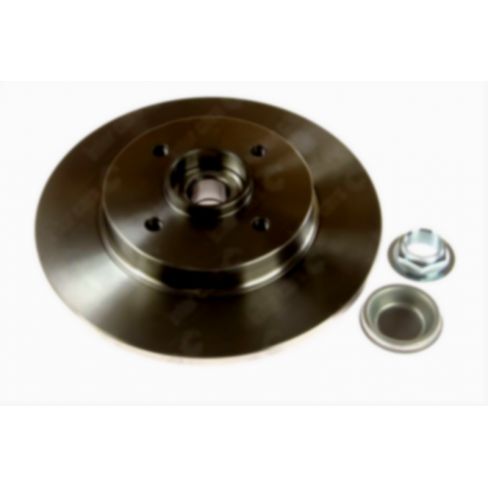 Brake disk with bearing