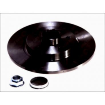 Brake disk with bearing