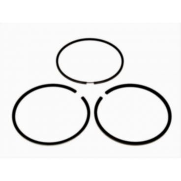 Segmenti piston