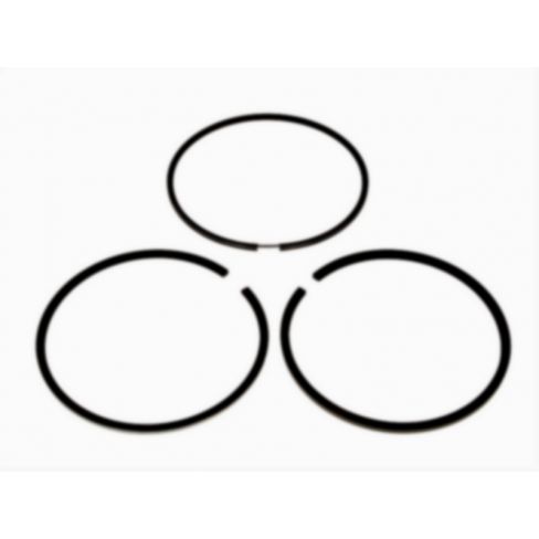 Segmenti piston