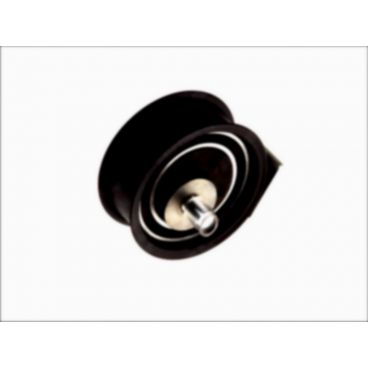 Intinzator curea distributie
