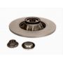 Brake disk with bearing