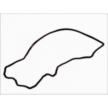 Garnitura capac culbutor