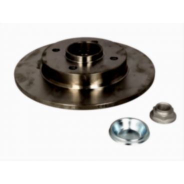 Brake disk with bearing