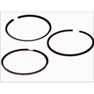 Segmenti piston