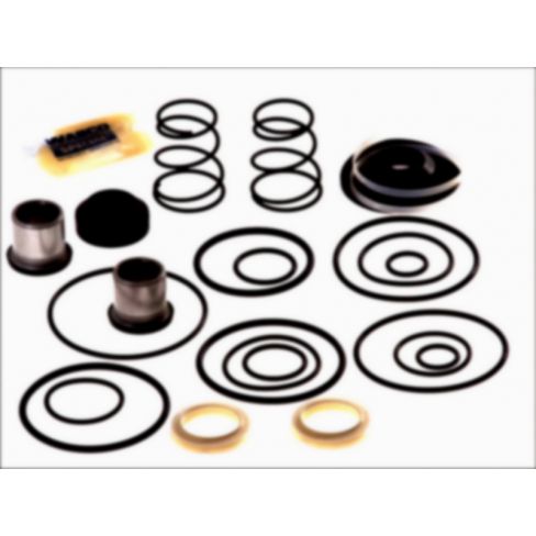 Kit reparatie valva Kit reparatie valva