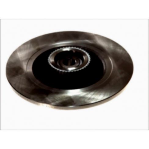 Brake disk with bearing