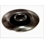 Brake disk with bearing