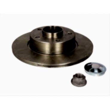 Brake disk with bearing