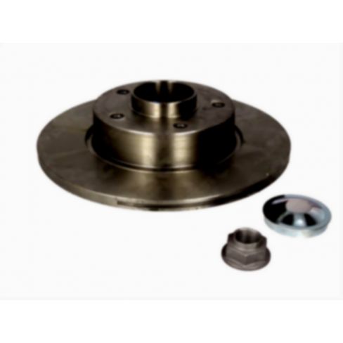 Brake disk with bearing